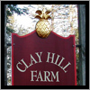 The Clay Hill Farm sign in Cape Neddick, Maine has a hand carved pineapple and flat lower portion.